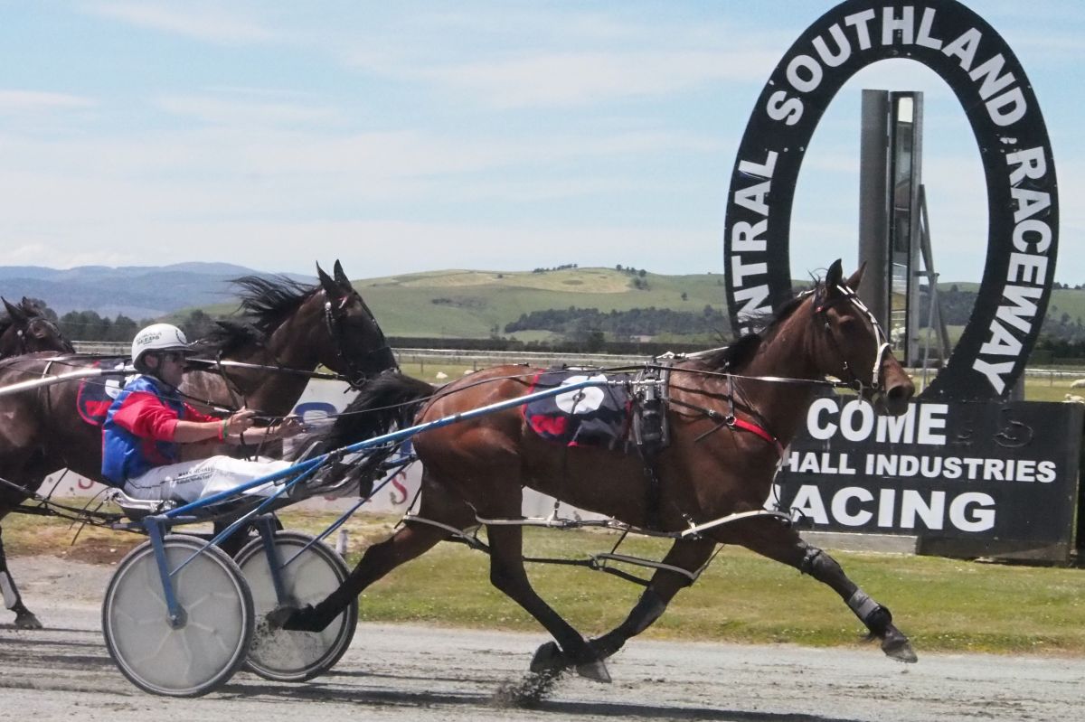 Hillary winning her maiden race at Winton (Bruce Stewart)