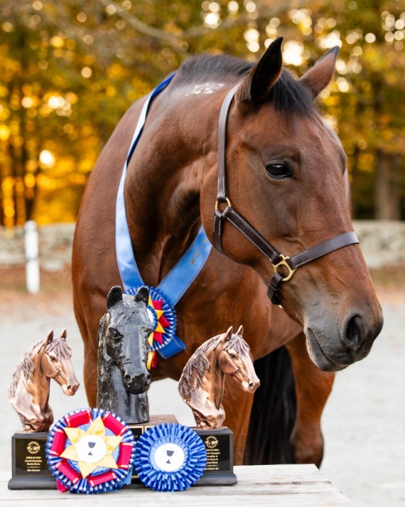 Homicide Hunter show ring king (PGriffin Photography)