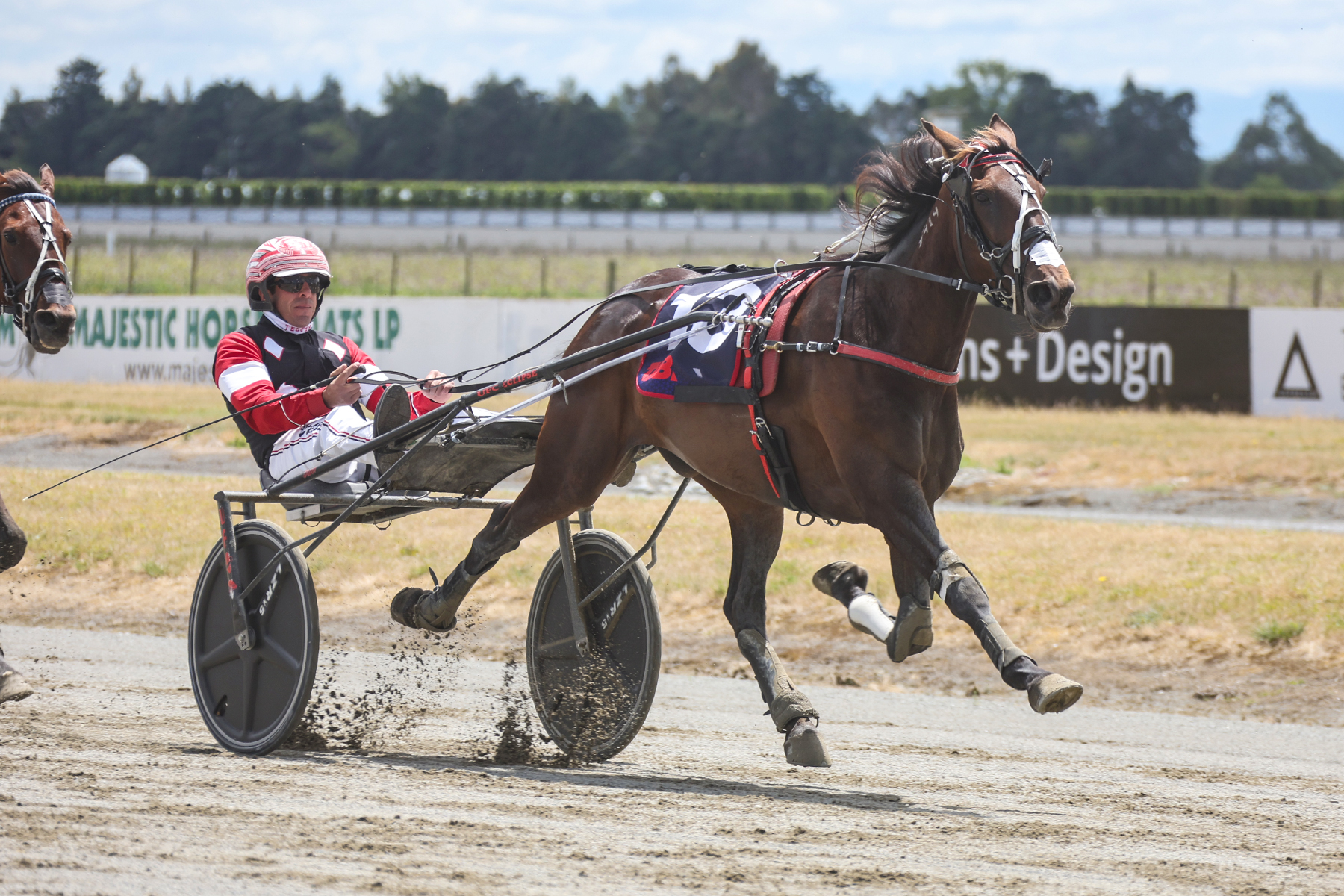 Dream run continues for Jeannie