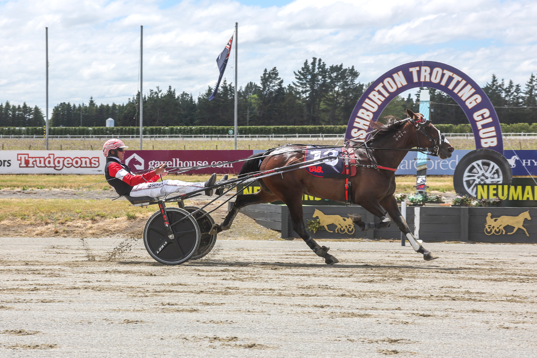 I Dream Of Jeannie at the line (Race Images Photo)