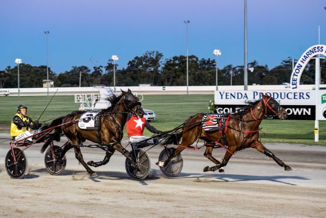 Im No Trouble leads all the way in Leeton Breeders Plate