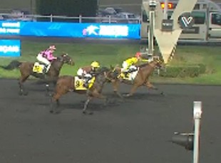 Impala de Val takes Gr III Yvonnick Bodin Prize