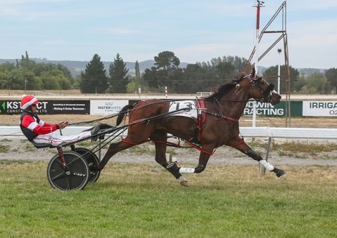 It’s Tough dominates Rangiora Summer Cup