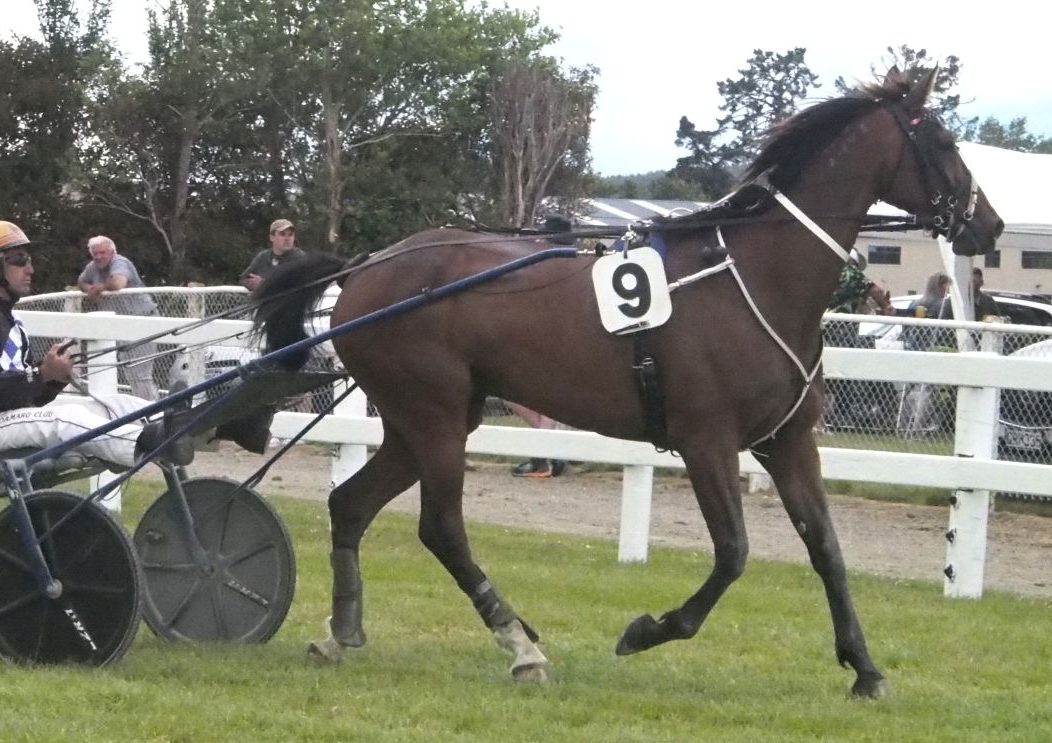 Jimmy upsets in Gore trotting feature
