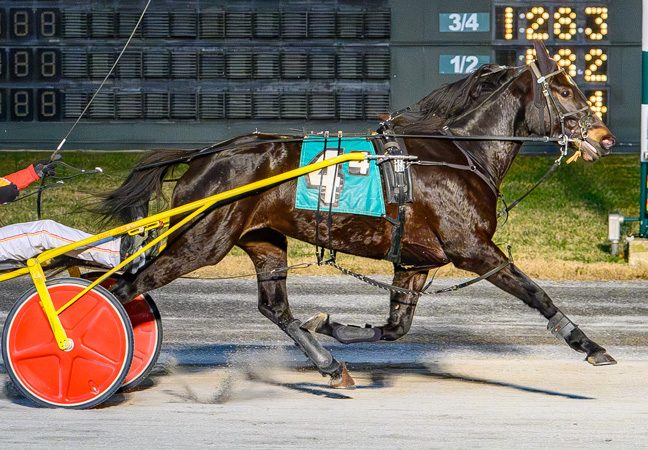 Kat’s Fancy cruises in DSBF second round