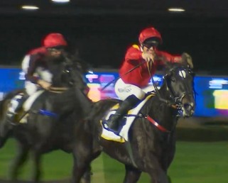 L’Ecrin D’Or and Keengame take Cornulier Qualifiers