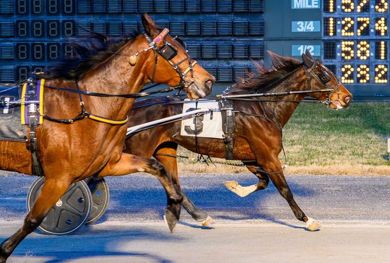 Yale, Legend Of Rock set up wide open DSBF final