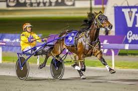 Magnificent Storm returns with a vengeance in the Navy Cup