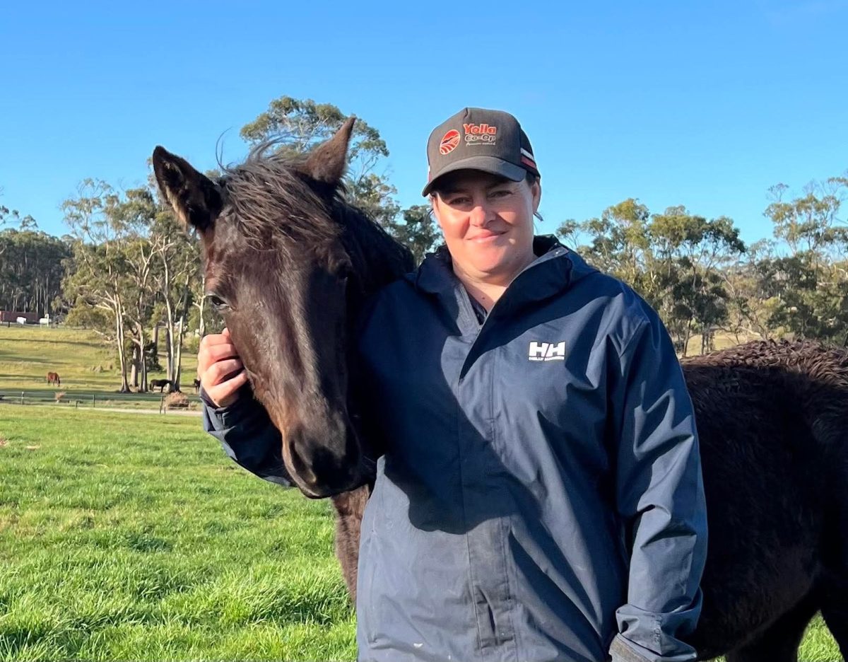 Ultimaction and Miki Sing spark family double ahead of Nutrien Sale