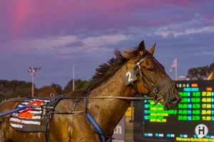 Minstrel shows qualities with WA Cup win
