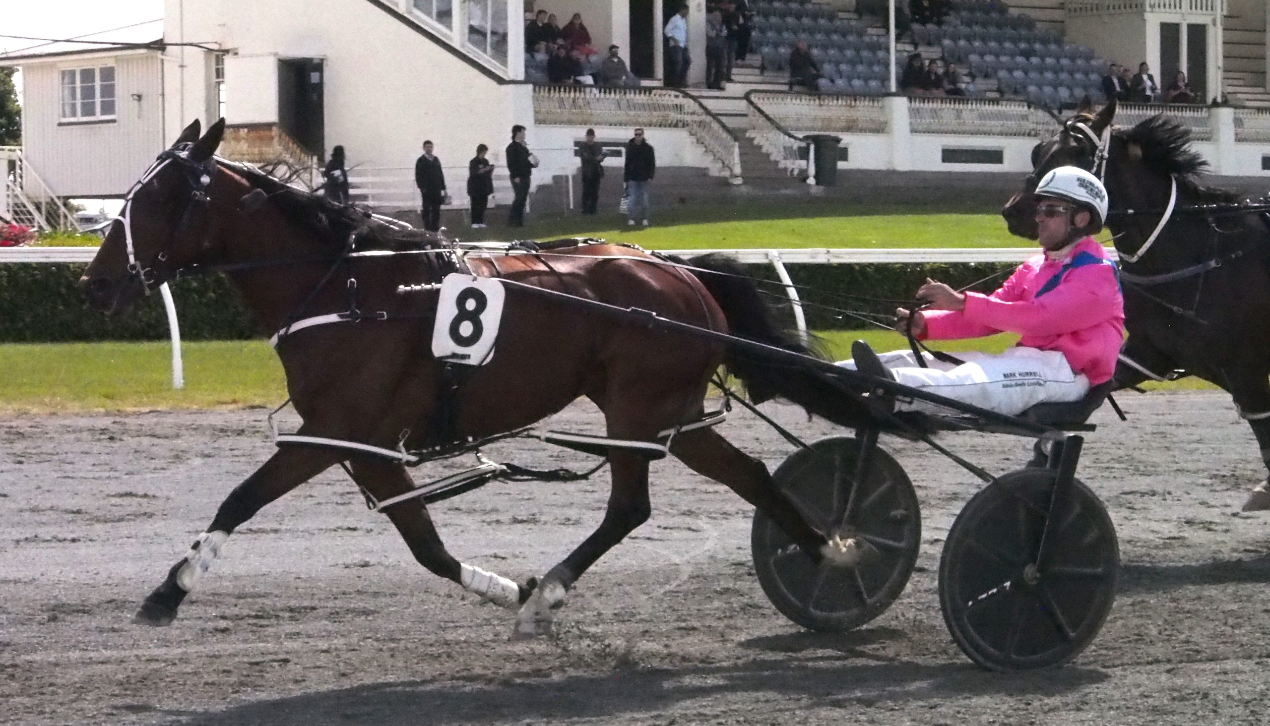 Nek Delight winning at Ascot park