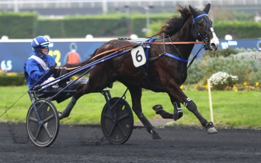 Nob Hill takes Gr II Prix Emmanuel Margouty