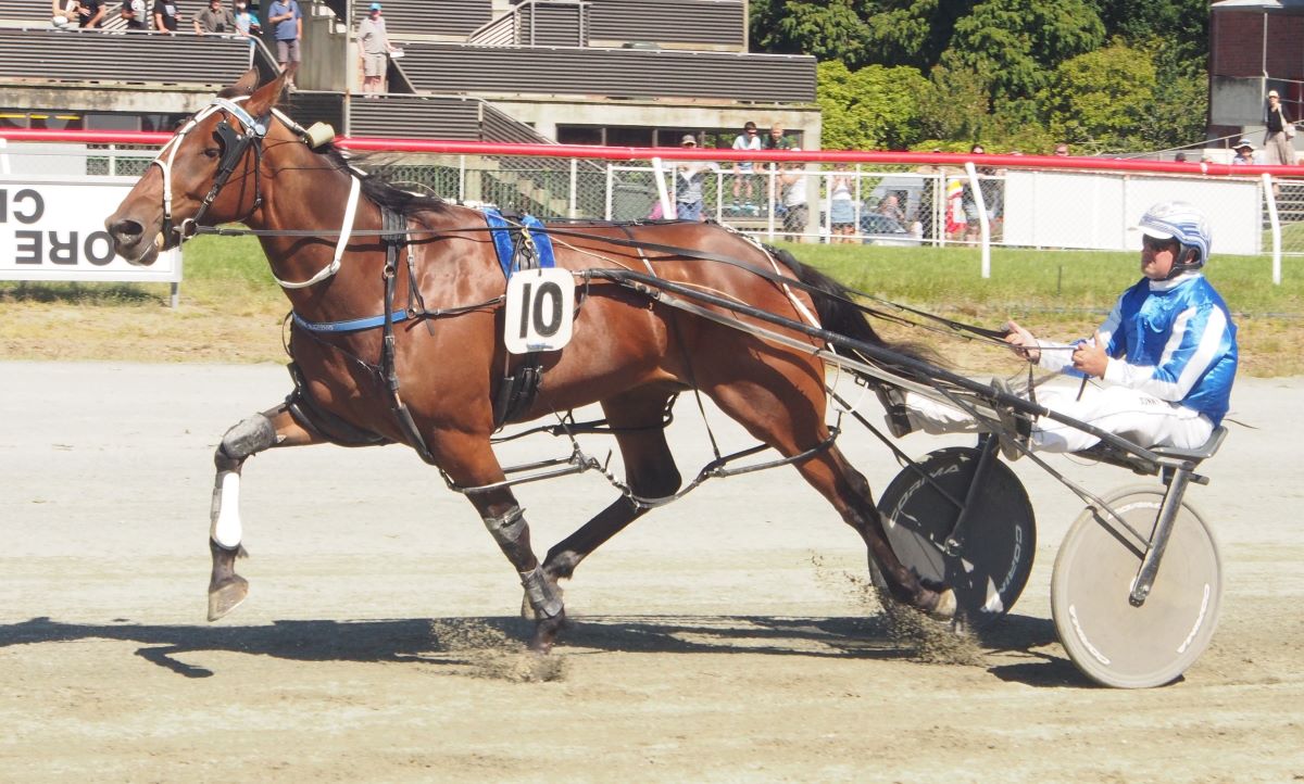 Pinseeker looking to start new season on high