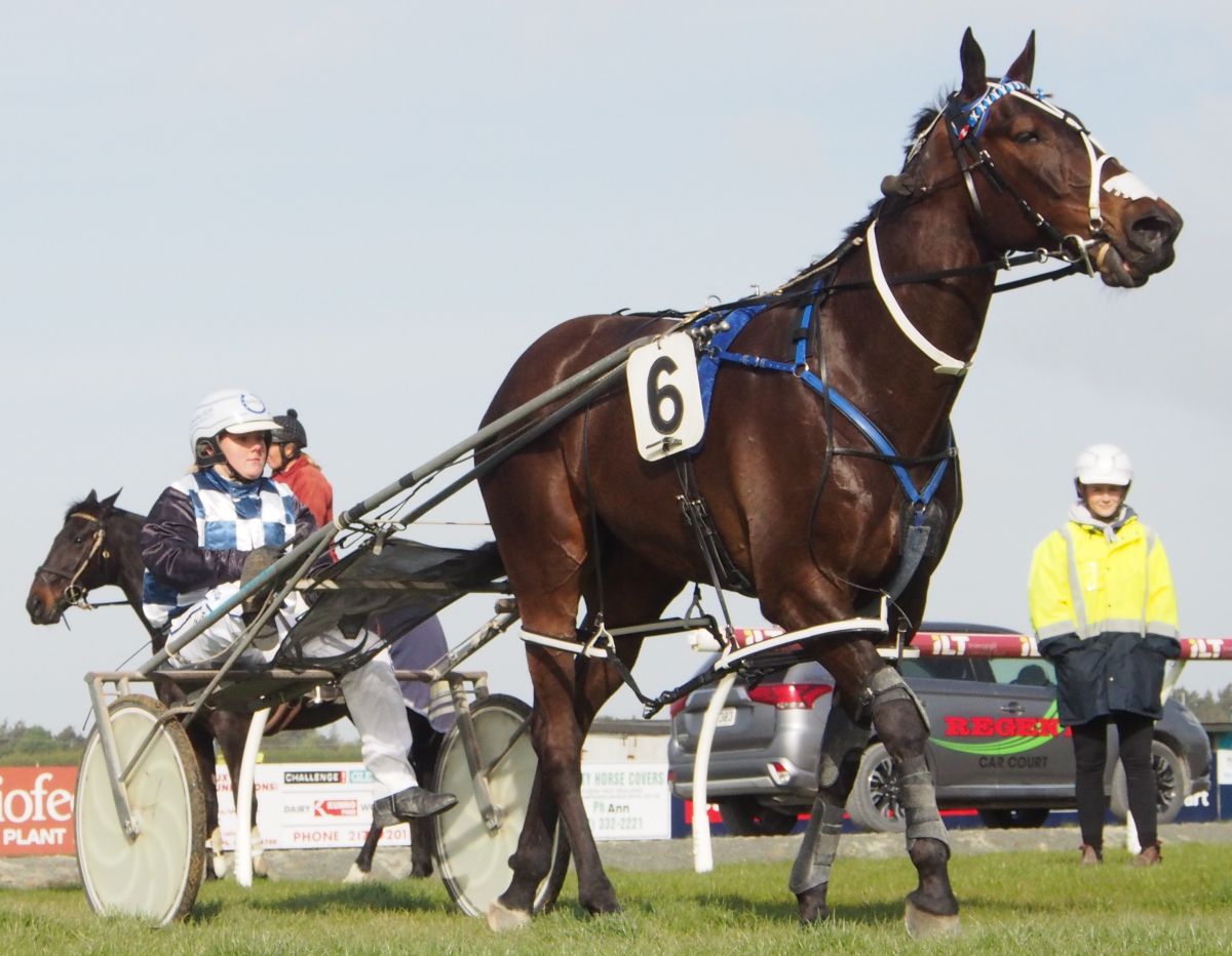 Rock Or Bust Harness 5000 bound