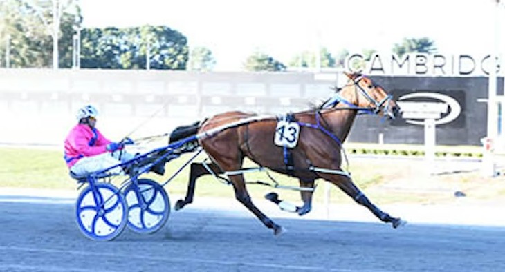 Rough And Ready wins Cambridge Christmas Cup