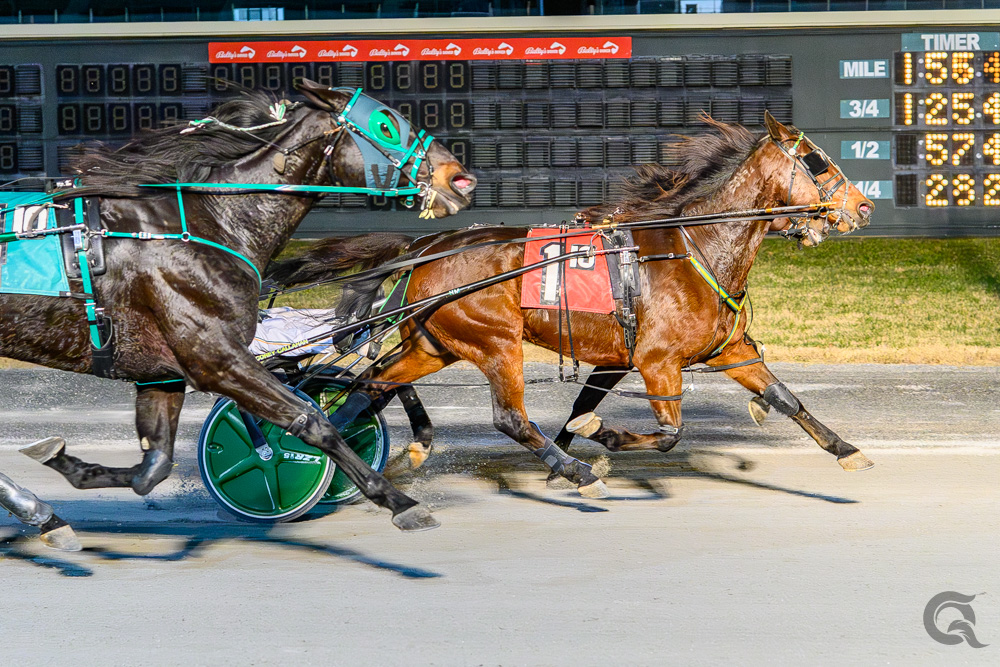 Speed Away outduels Last Glow in thrilling finish