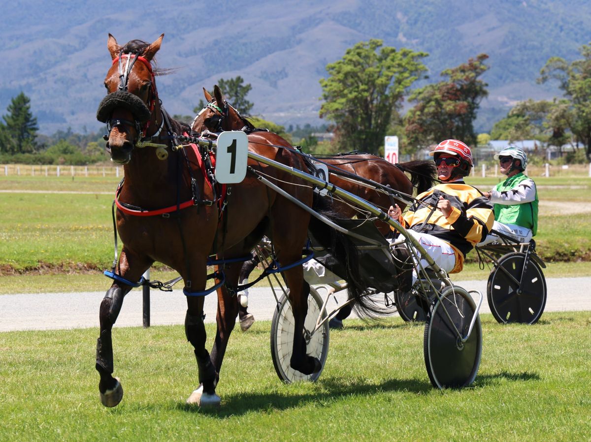 Murray Pash-ionate about harness racing