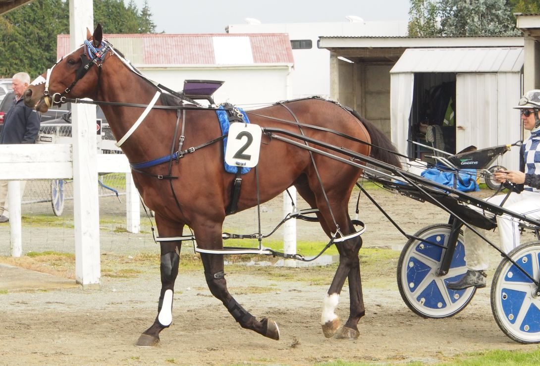 Telfer positive about team for Cup Day