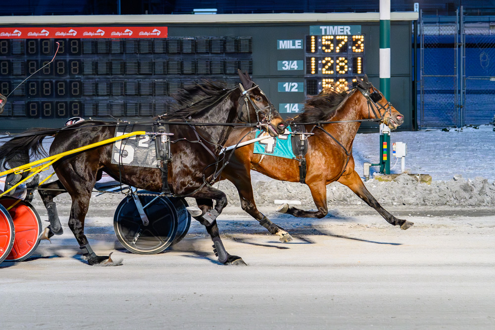 Take It Easy upsets in $110,000 DSBF Trotting final