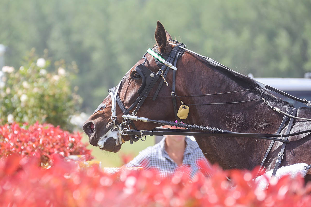 He’s just having that Effect