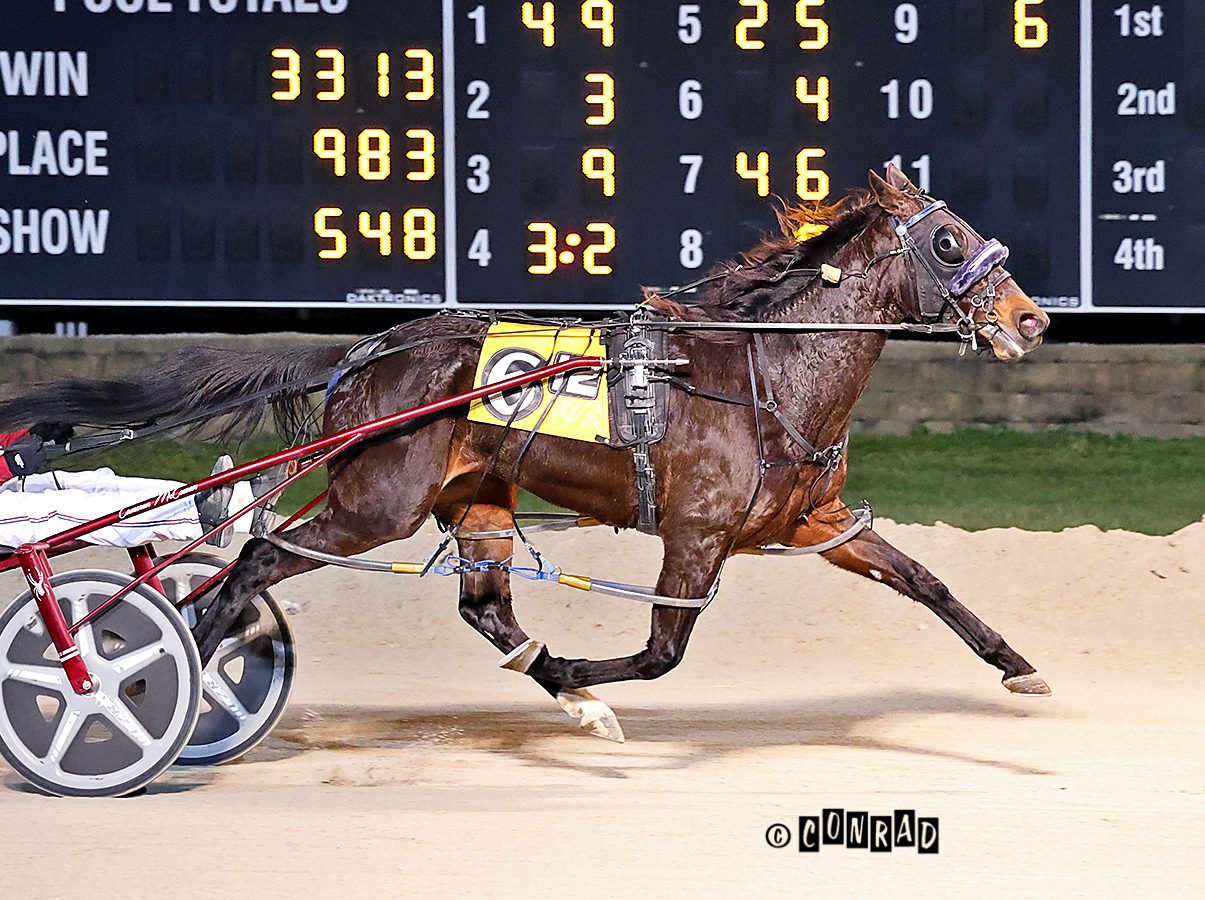 Second straight win for Vel Im All Fire