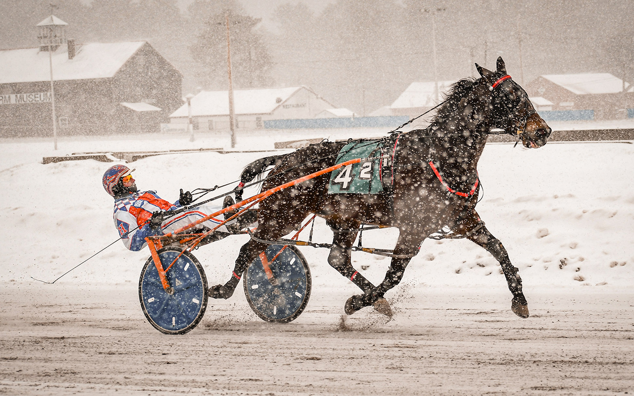Echos Sharkie (Aaron Hall) took his second Dasher leg victory on Sunday at Cumberland