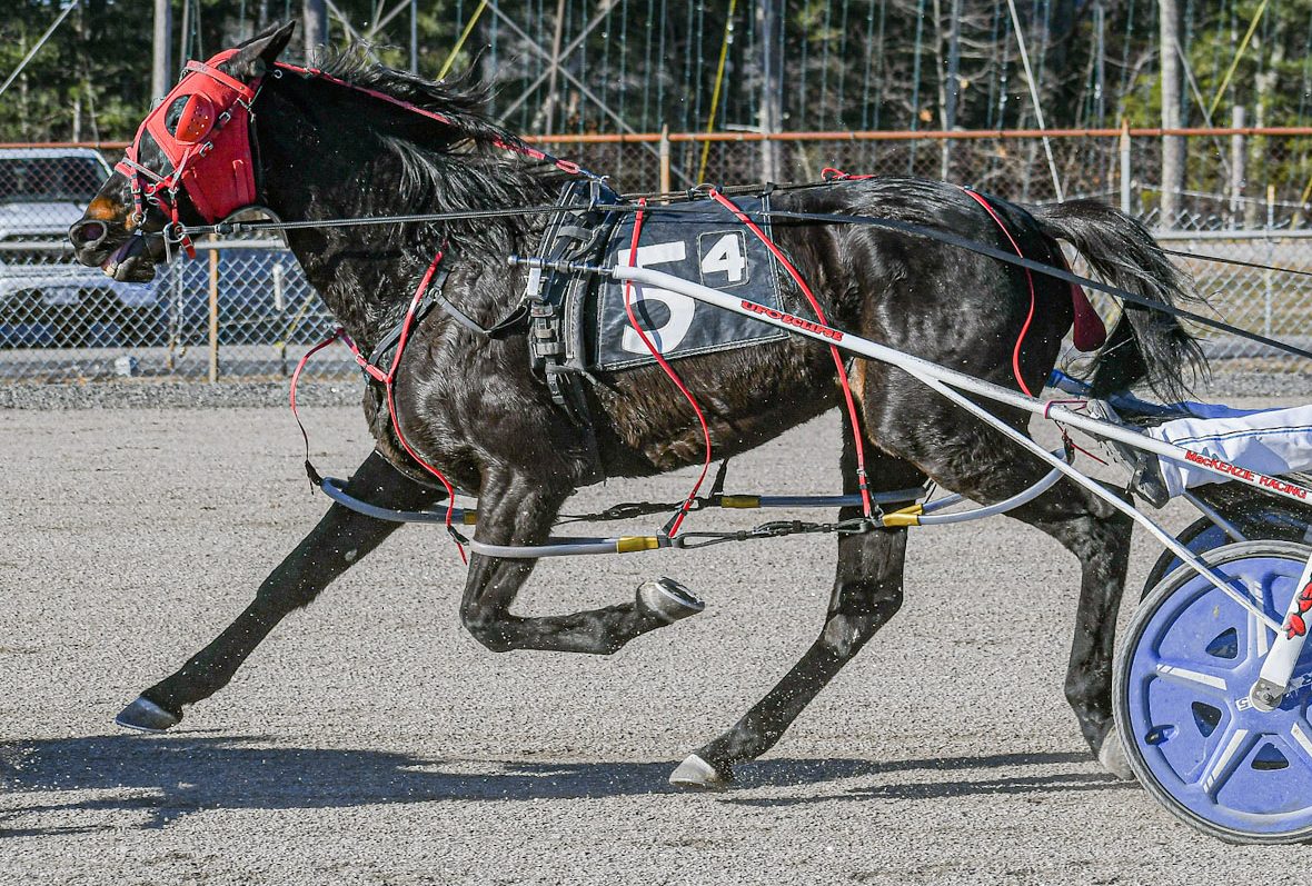 Juneparker takes big finale at Cumberland