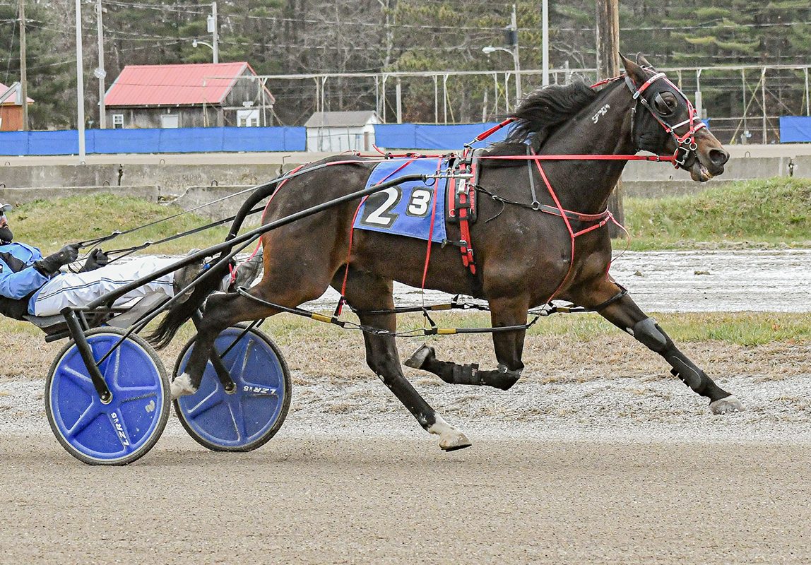 Vickerson 3-for-3, Switzer Jr. hits five in successful day