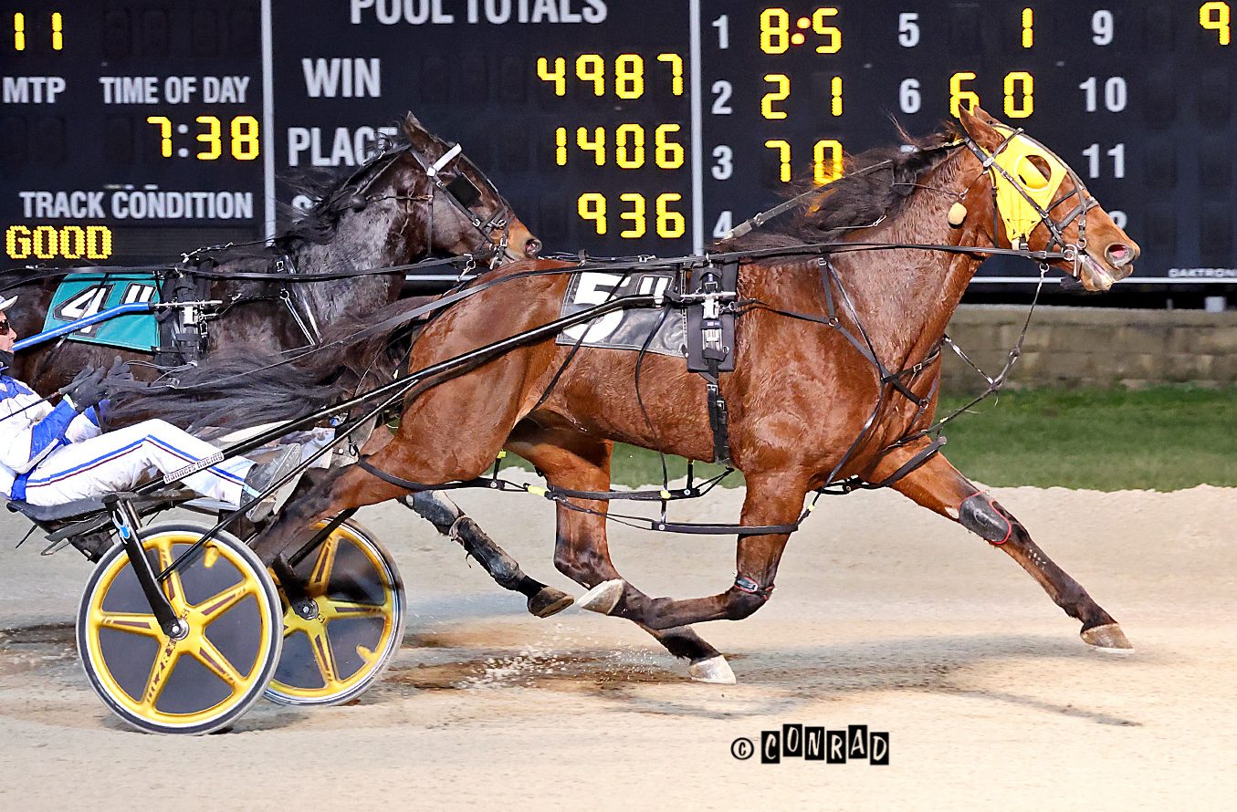 Whatchagonnado strong, goes gate to wire