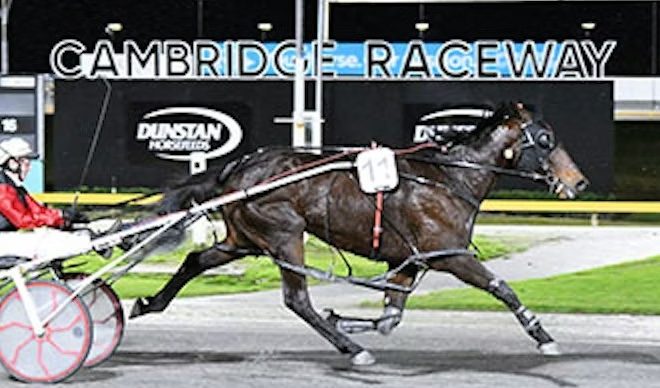 Marshall lining up two fillies tonight