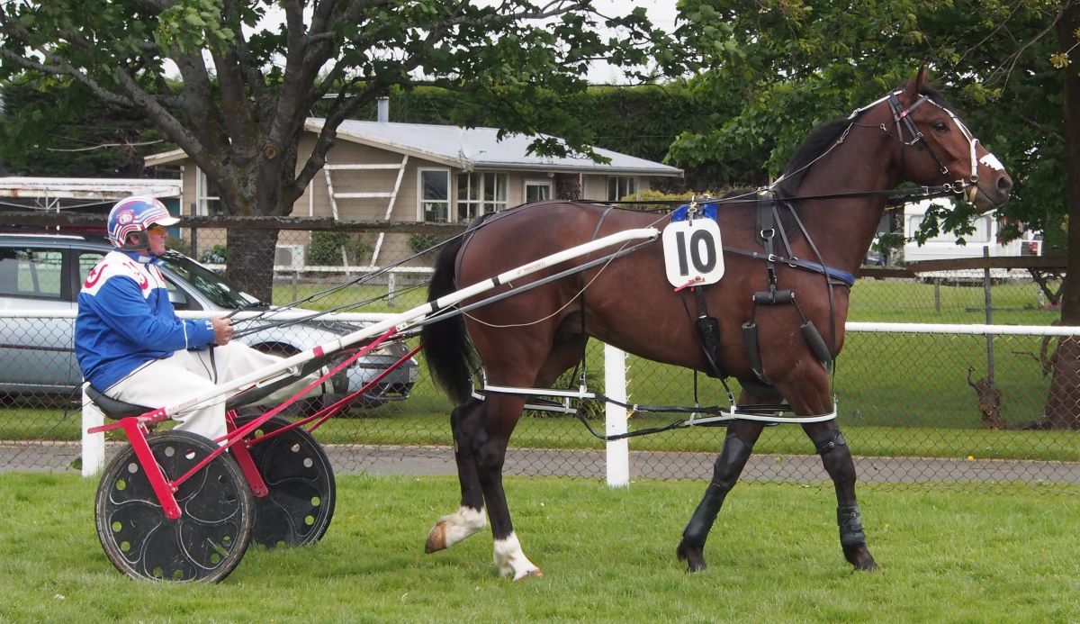 Three at Winton for local trainer