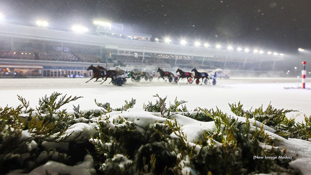 Mohawk, Western Fair cancel Boxing Day cards