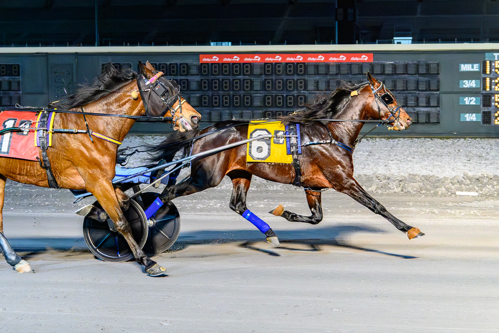 Yale fights off rivals to win $110,000 DSBF Trotting Championship