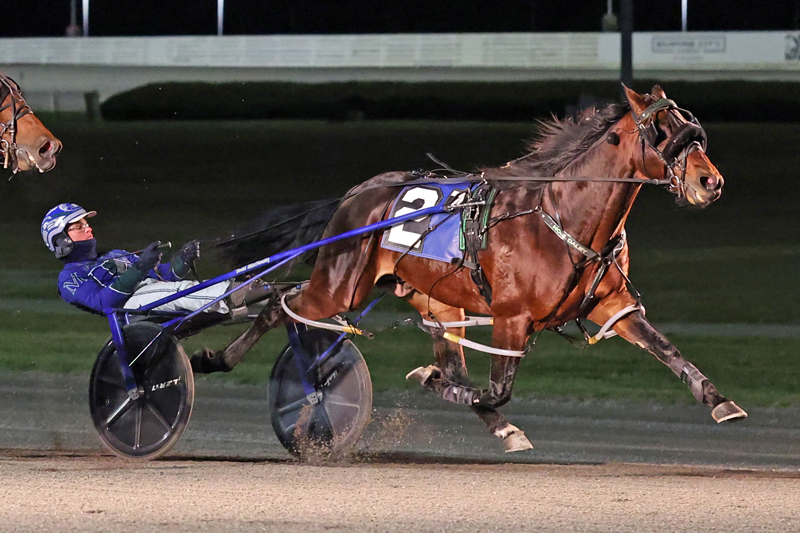 Captain Albano is lone MGM Grand Prix Pacing Series repeater