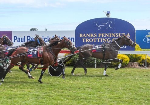 New record turnover at Motukarara