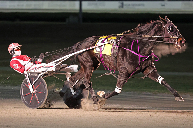 Favorites dominate Grand Prix Trotting Series Leg 3