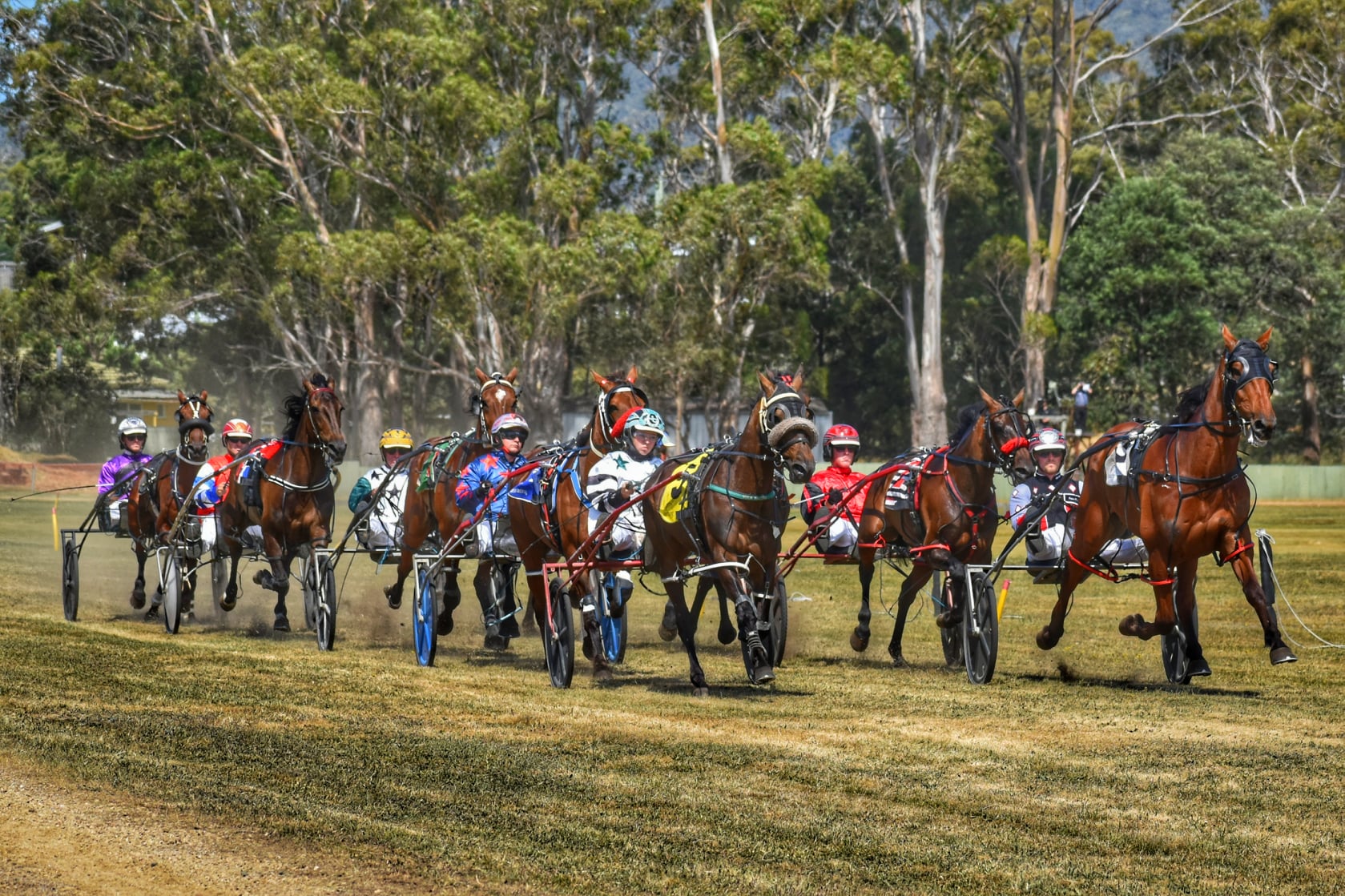 St Marys Cup: A race steeped in history