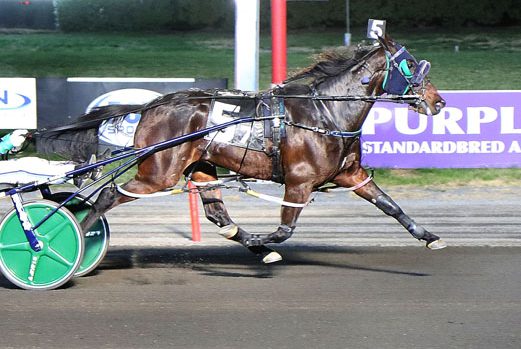 Perfidious Crown continues breakout season