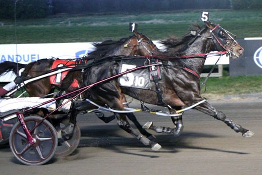 Go Go Grasshopper strikes again at Big M