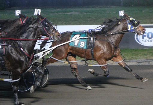 Odds On Wildfire shocks rivals