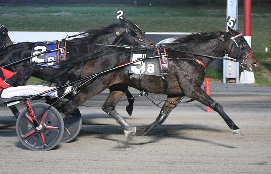 Outside The Fire smokes rivals at Big M