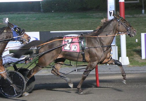 Pinny Tiger A stays red hot at Big M