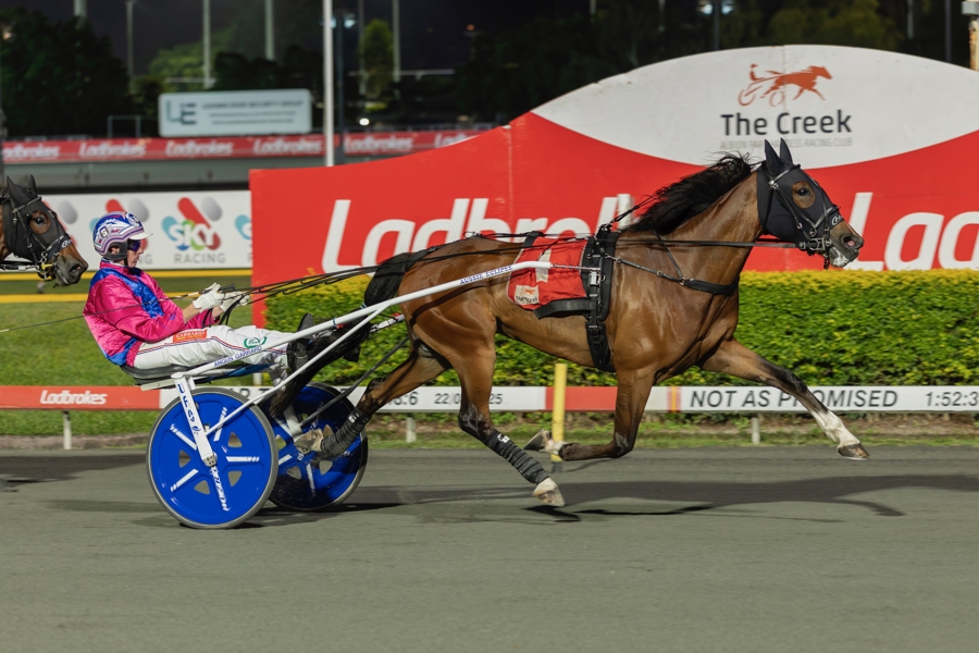 Desiring Diamonds sparkles in rookie season