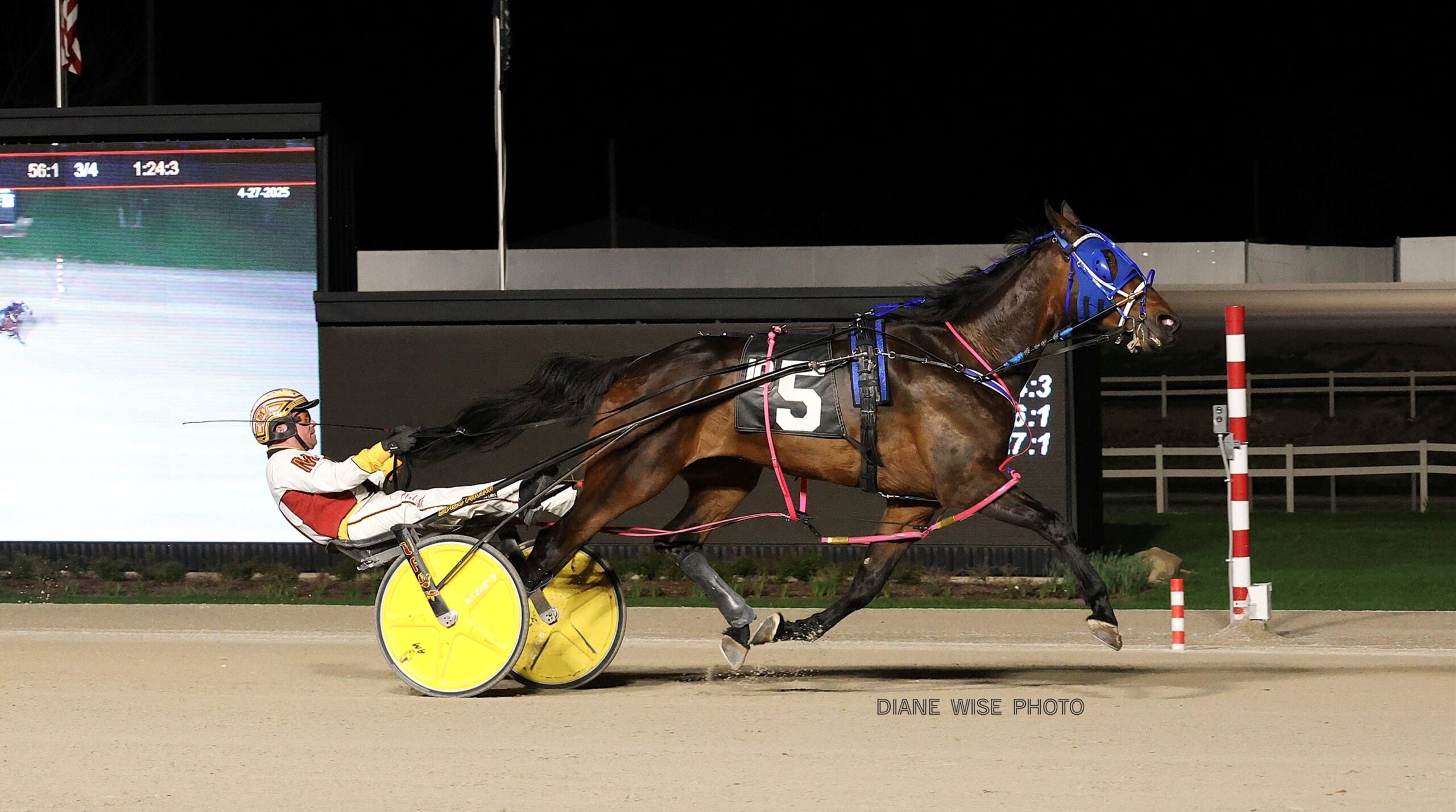 Rose Run Zoom named Ohio Aged Horse and Gelding Trotter of the Year