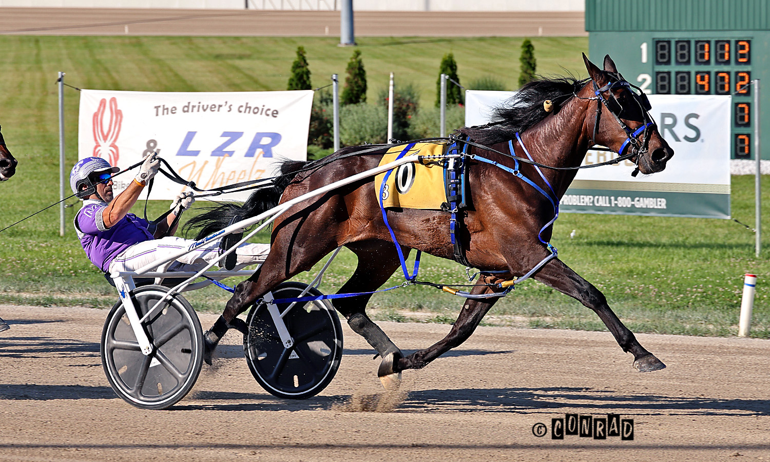 Lt Loverboy named Ohio 3YO Trotting Colt of the Year
