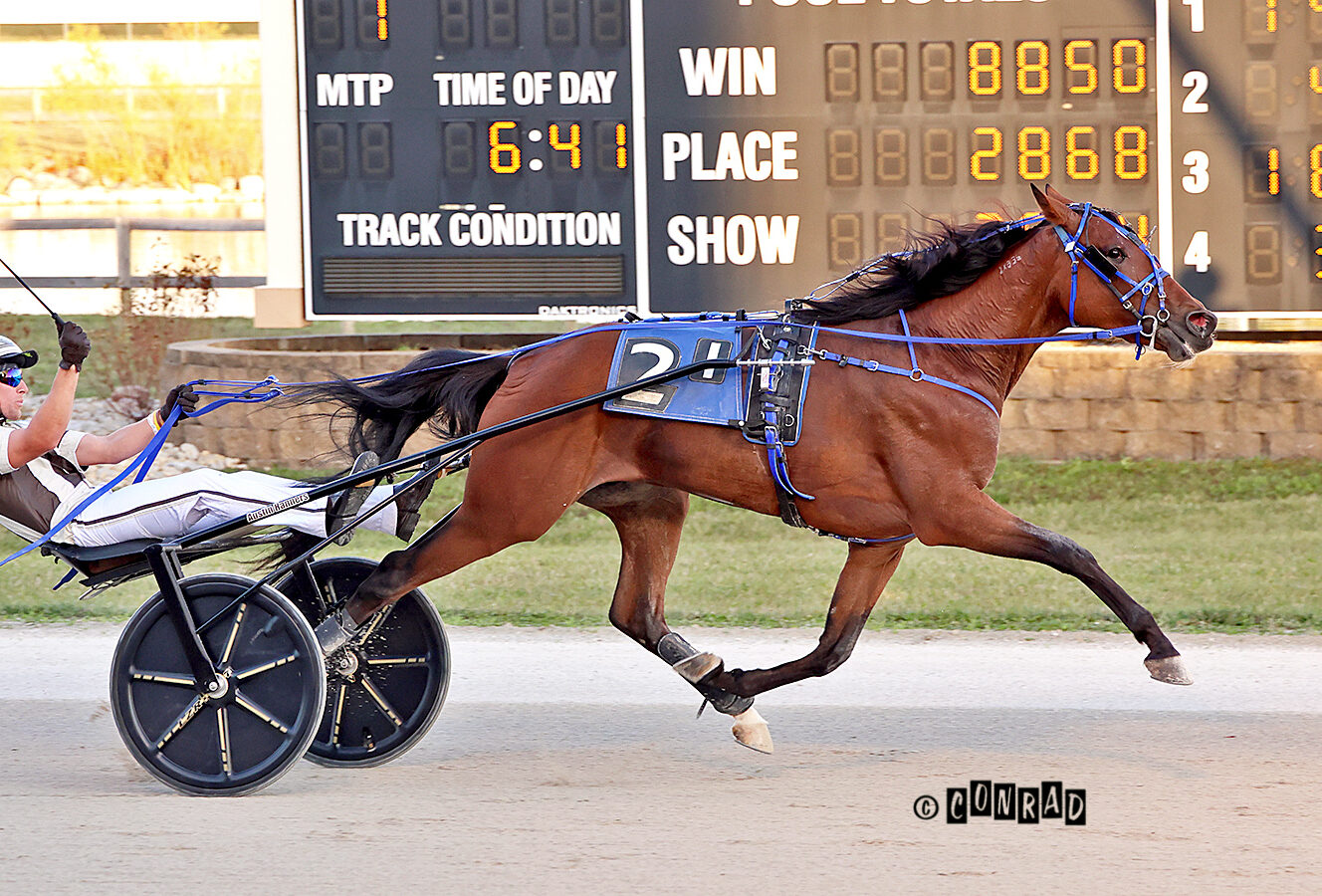 Jailhouse Pearl named Ohio 3-Year-Old Trotting Filly of the Year