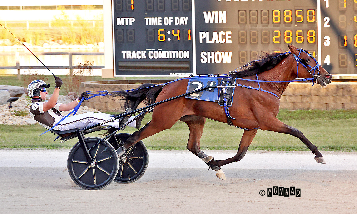 PRESS RELEASE: Jailhouse Pearl Named Ohio 3Old Trotting Filly of the Year