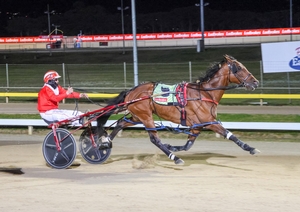 Star Major seeks to go one better in Pacing Cup
