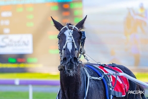 Heavy bandages helping Ambitsiya