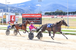 Triedtotellya claims $40,000 Ladbrokes Hobart Pacing Cup